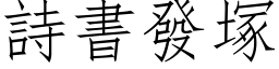 诗书发塚 (仿宋矢量字库)