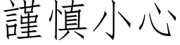 谨慎小心 (仿宋矢量字库)