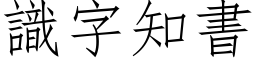 識字知書 (仿宋矢量字库)