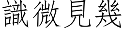 識微見幾 (仿宋矢量字库)