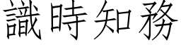 识时知务 (仿宋矢量字库)