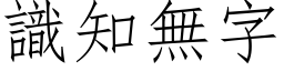 識知無字 (仿宋矢量字库)