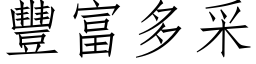 豐富多采 (仿宋矢量字库)