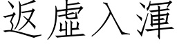 返虛入渾 (仿宋矢量字库)