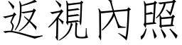 返视內照 (仿宋矢量字库)