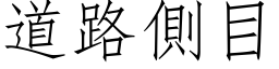 道路側目 (仿宋矢量字库)