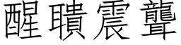 醒聵震聾 (仿宋矢量字库)