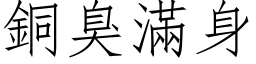 铜臭满身 (仿宋矢量字库)