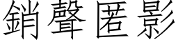 销声匿影 (仿宋矢量字库)