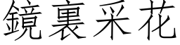 鏡裏采花 (仿宋矢量字库)