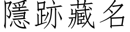 隱跡藏名 (仿宋矢量字库)