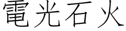 电光石火 (仿宋矢量字库)