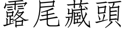 露尾藏頭 (仿宋矢量字库)