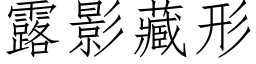 露影藏形 (仿宋矢量字库)