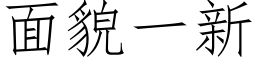 面貌一新 (仿宋矢量字库)