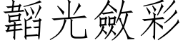 韜光斂彩 (仿宋矢量字库)