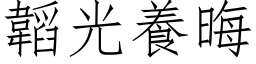 韜光養晦 (仿宋矢量字库)