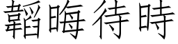 韜晦待時 (仿宋矢量字库)