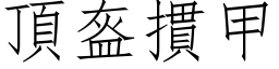 頂盔摜甲 (仿宋矢量字库)