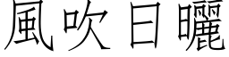 风吹日晒 (仿宋矢量字库)