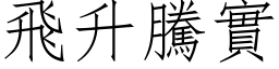 飛升騰實 (仿宋矢量字库)