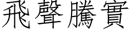 飛聲騰實 (仿宋矢量字库)