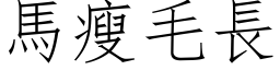 馬瘦毛長 (仿宋矢量字库)