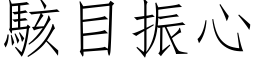 駭目振心 (仿宋矢量字库)