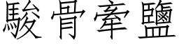 骏骨牵盐 (仿宋矢量字库)