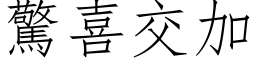 驚喜交加 (仿宋矢量字库)