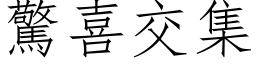 惊喜交集 (仿宋矢量字库)