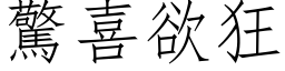 惊喜欲狂 (仿宋矢量字库)