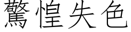 驚惶失色 (仿宋矢量字库)