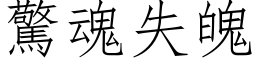 惊魂失魄 (仿宋矢量字库)