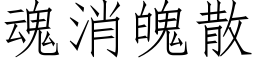 魂消魄散 (仿宋矢量字库)