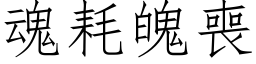 魂耗魄喪 (仿宋矢量字库)