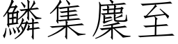 鱗集麇至 (仿宋矢量字库)