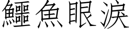 鱷魚眼淚 (仿宋矢量字库)