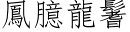 鳳臆龍鬐 (仿宋矢量字库)