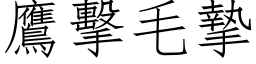 鹰击毛挚 (仿宋矢量字库)