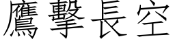 鷹擊長空 (仿宋矢量字库)