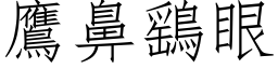 鹰鼻鷂眼 (仿宋矢量字库)