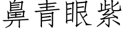 鼻青眼紫 (仿宋矢量字库)