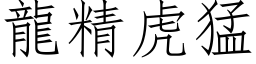 龙精虎猛 (仿宋矢量字库)