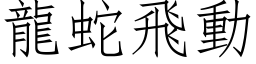 龍蛇飛動 (仿宋矢量字库)