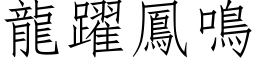 龍躍鳳鳴 (仿宋矢量字库)