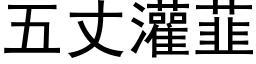 五丈灌韮 (黑体矢量字库)