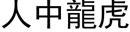 人中龙虎 (黑体矢量字库)