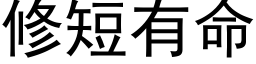 修短有命 (黑体矢量字库)