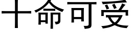 十命可受 (黑体矢量字库)